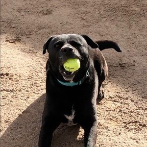 Meet your Posher, Sebastian